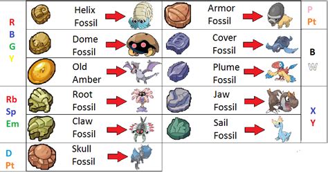 root fossil vs claw.